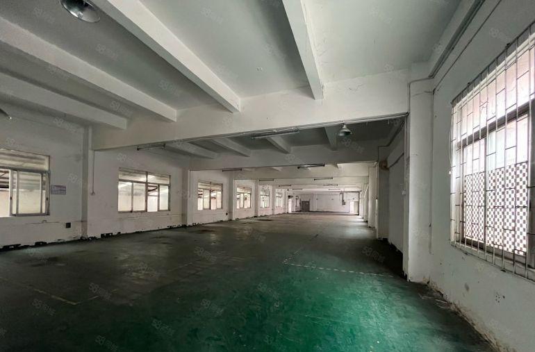 大岭山颜屋工业园独栋3层2400平低价出租精装修