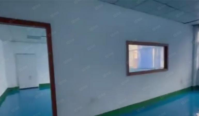 大岭山镇向东村园区厂房