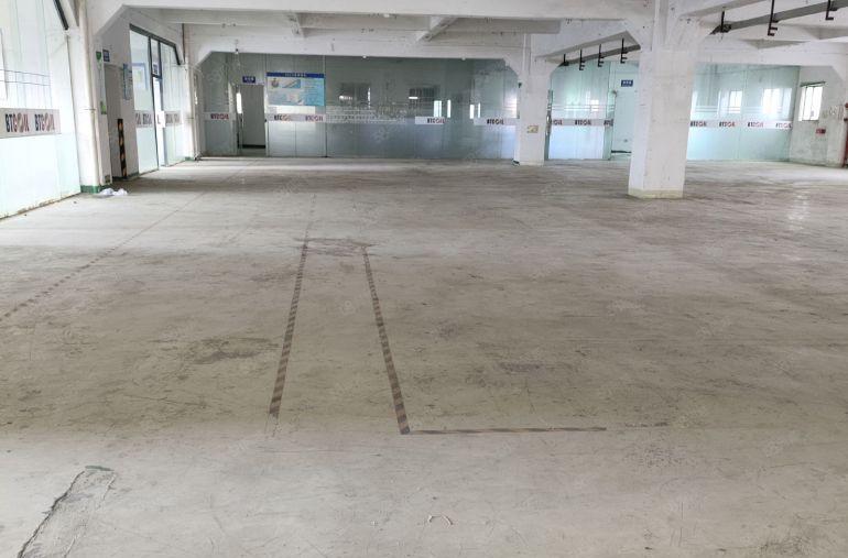 大岭山杨屋高速口原房东，新出花园式独院10元低价急租空地超大