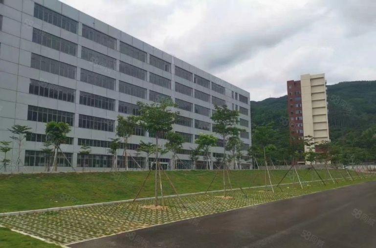 大岭山临近深圳全新红本厂房19688平米出租分租带喷淋