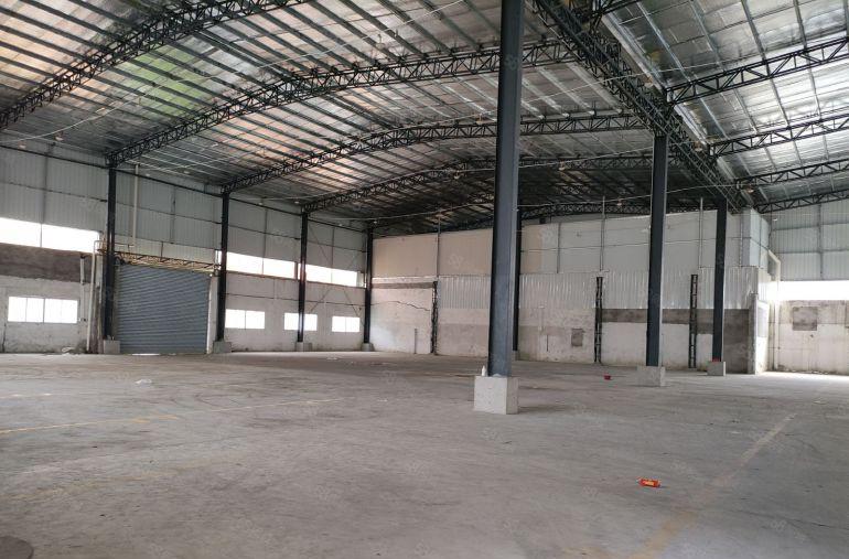 大岭山厂房新出单一层钢构6000平方，高度8米原房东实际面积