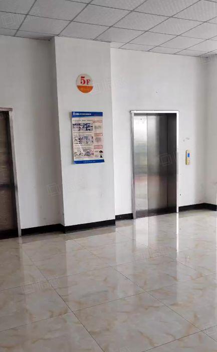 大岭山镇原房东花园式精装修标准厂房，证件齐全，有红本国有双证