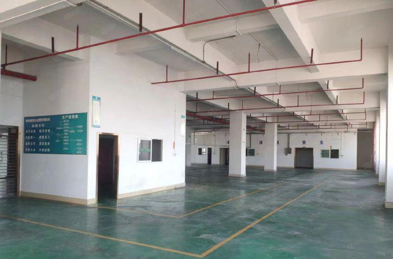 大岭山杨屋新空一手房东三楼1500平精装修办公室厂房出租