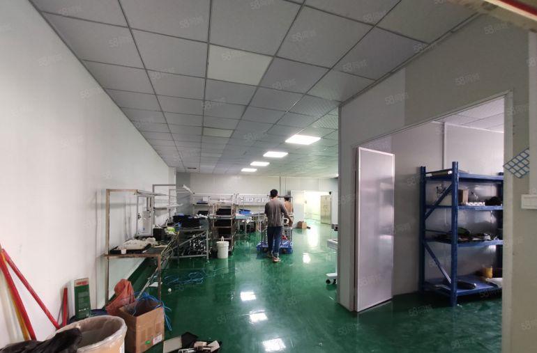 大岭山杨屋新空出三楼1800平洁净车间工业厂房出租