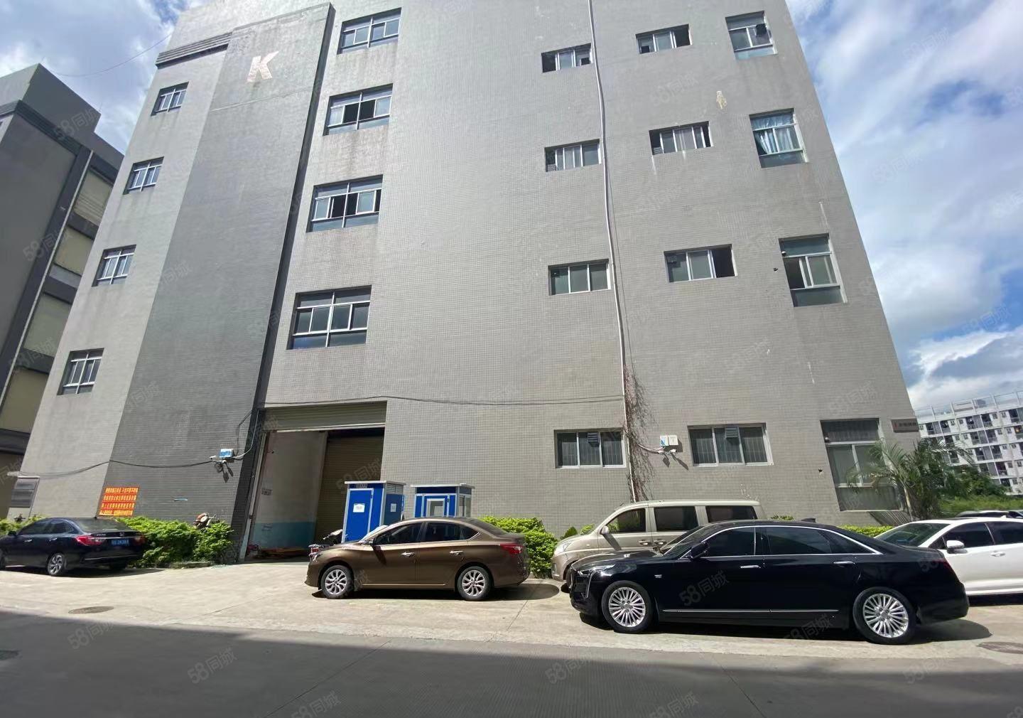 大岭山太公岭园区厂房出租，1000平，无尘车间，洁净车间