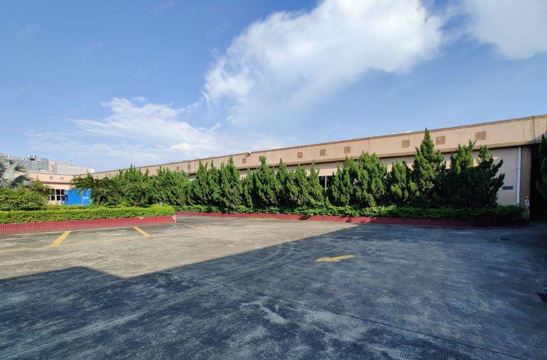 大岭山新出花园式标准一楼独院厂房9000平方空地约5000平