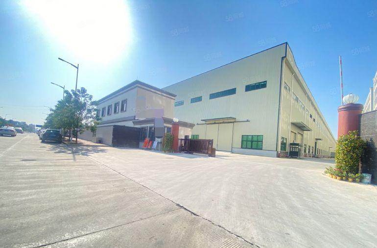 大岭山 原房东 钢构厂房 长度337米  适合注塑五金玻璃等