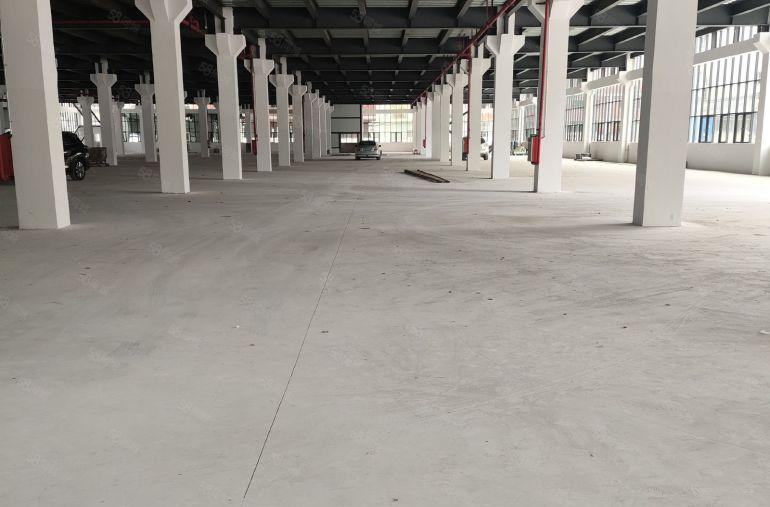 大岭山镇原房东钢钩独院厂房，1000平起分租，带牛角，空地大