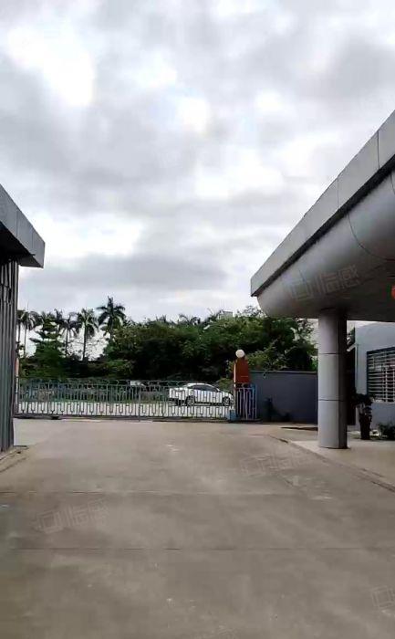 大岭山水朗新出实际面积出租独院厂房6000平方超大空地