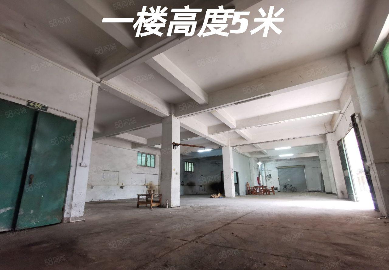 大岭山镇新出独栋小三层标准厂房2000平方出租，不限电！