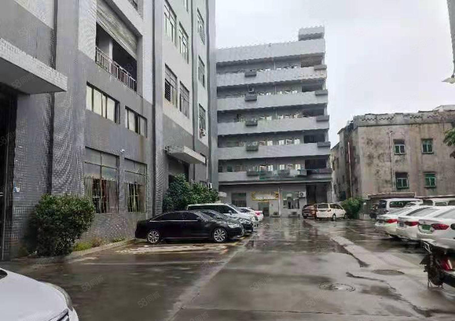 大岭山G107旁一楼1000平高6米厂房出租带办公室水电齐全