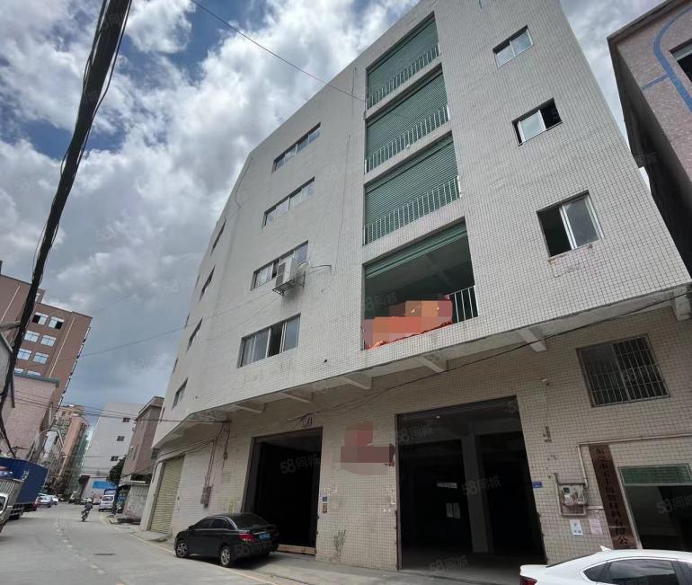 大岭山，零公摊厂房出租，通水电，可分租，带电梯