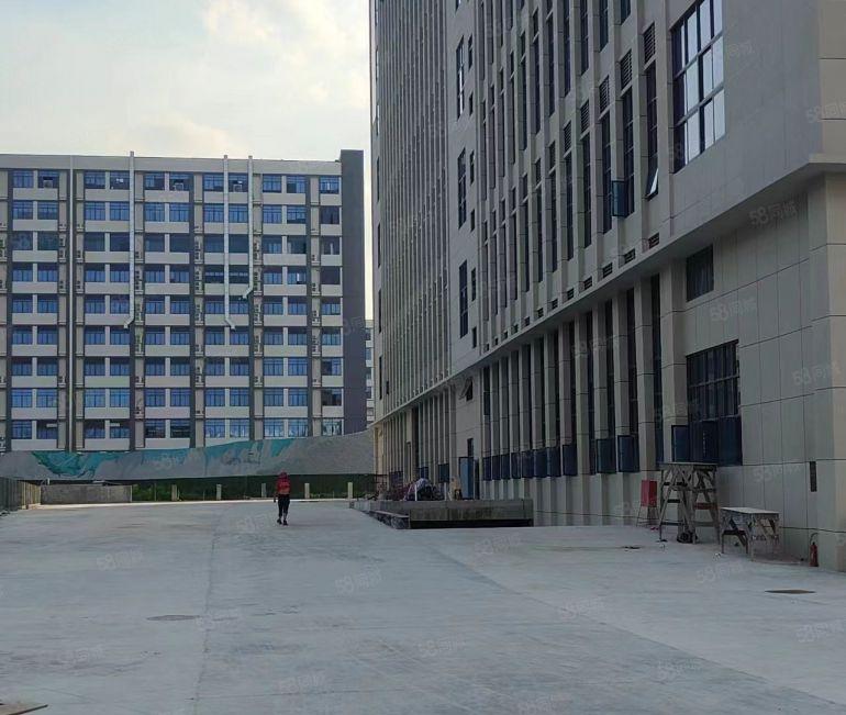 大岭山高速出口500平全新红本厂房可办环评有喷淋好招工