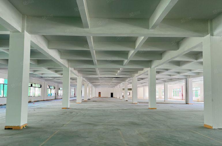 大岭山镇大塘新厂房出租