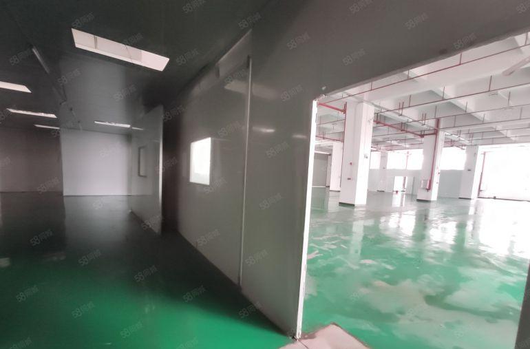 大岭山杨屋一手房东一楼1500平实际面积20块一平厂房出租