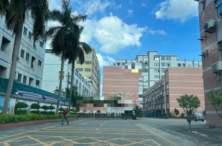 大岭山镇颜屋原房东标准一楼800平现成办公室水电齐全上市形象