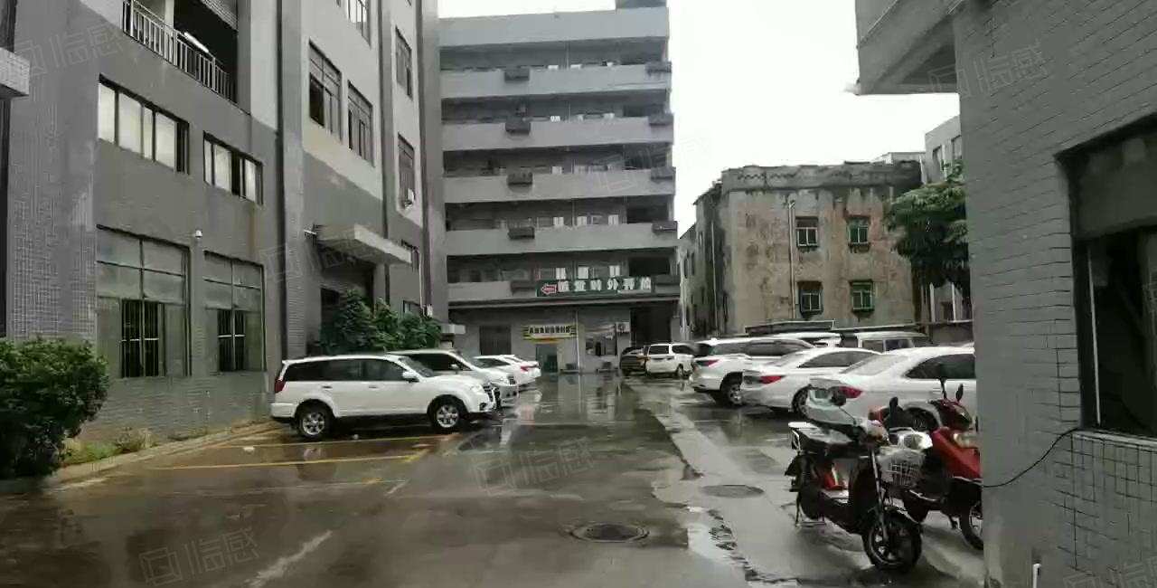 大岭山G107旁一楼1000平高6米厂房出租带办公室水电齐全