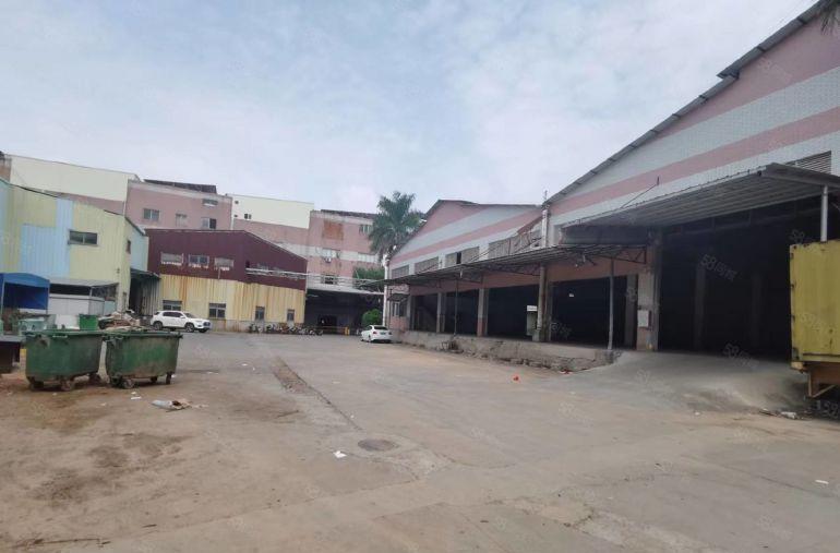 大岭山杨屋带卸货平台单一层钢构低价厂房出租2000平滴水8米