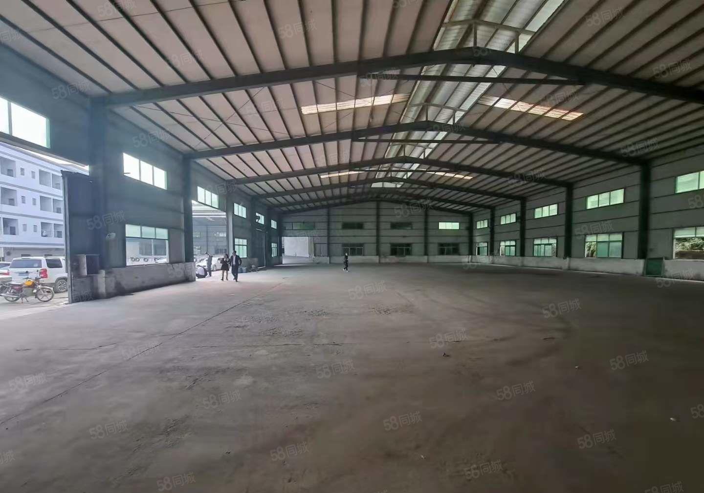 原房东独门独院单一层钢构9米高度4100平方实际面积报价25