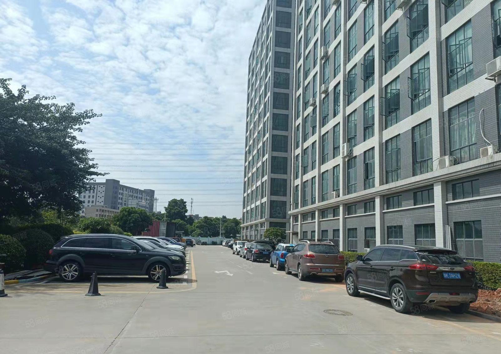 大岭山大型工业园单层5600平厂房出租可分租消防及格可办环评