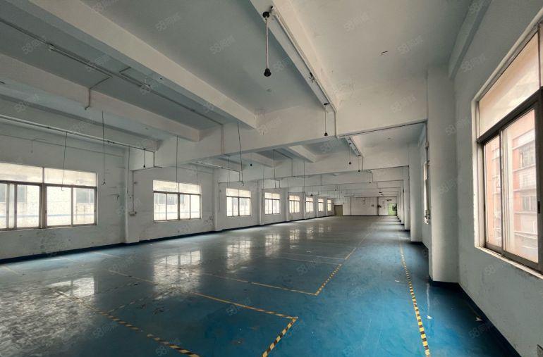 大岭山颜屋工业园独栋3层2400平低价出租精装修