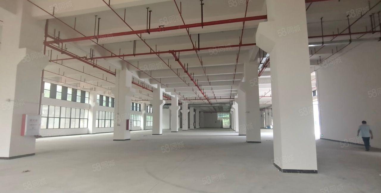 500平起原房东无公摊临深大岭山独院2万平厂房仓库出租