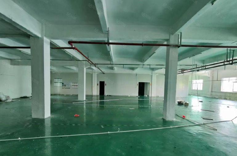 精装修  大岭山厂房出租1000平   超大空地可分租可办环