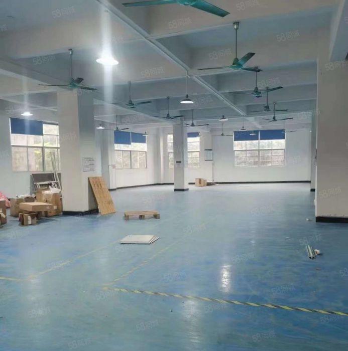 大岭山杨屋2楼700平小面积厂房出租精装修办公室地坪漆配套齐