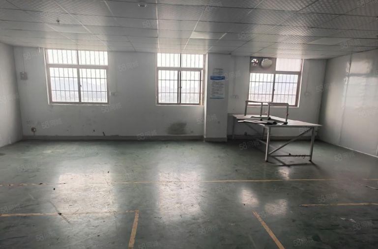 低价原房东厂房出租大岭山杨屋原房东楼上400平厂房出租