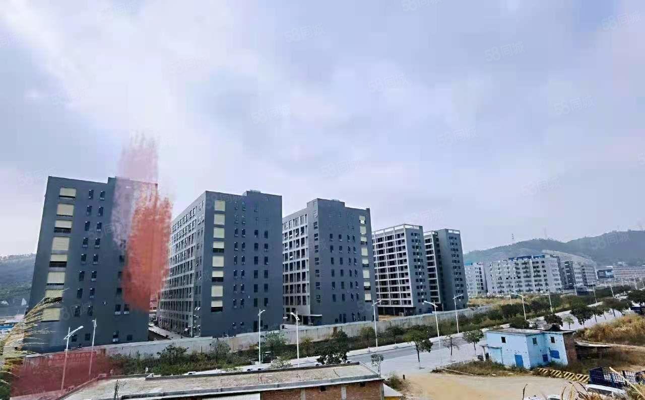 大岭山杨屋原房东全新厂房整栋每层3000平方厂房出租！