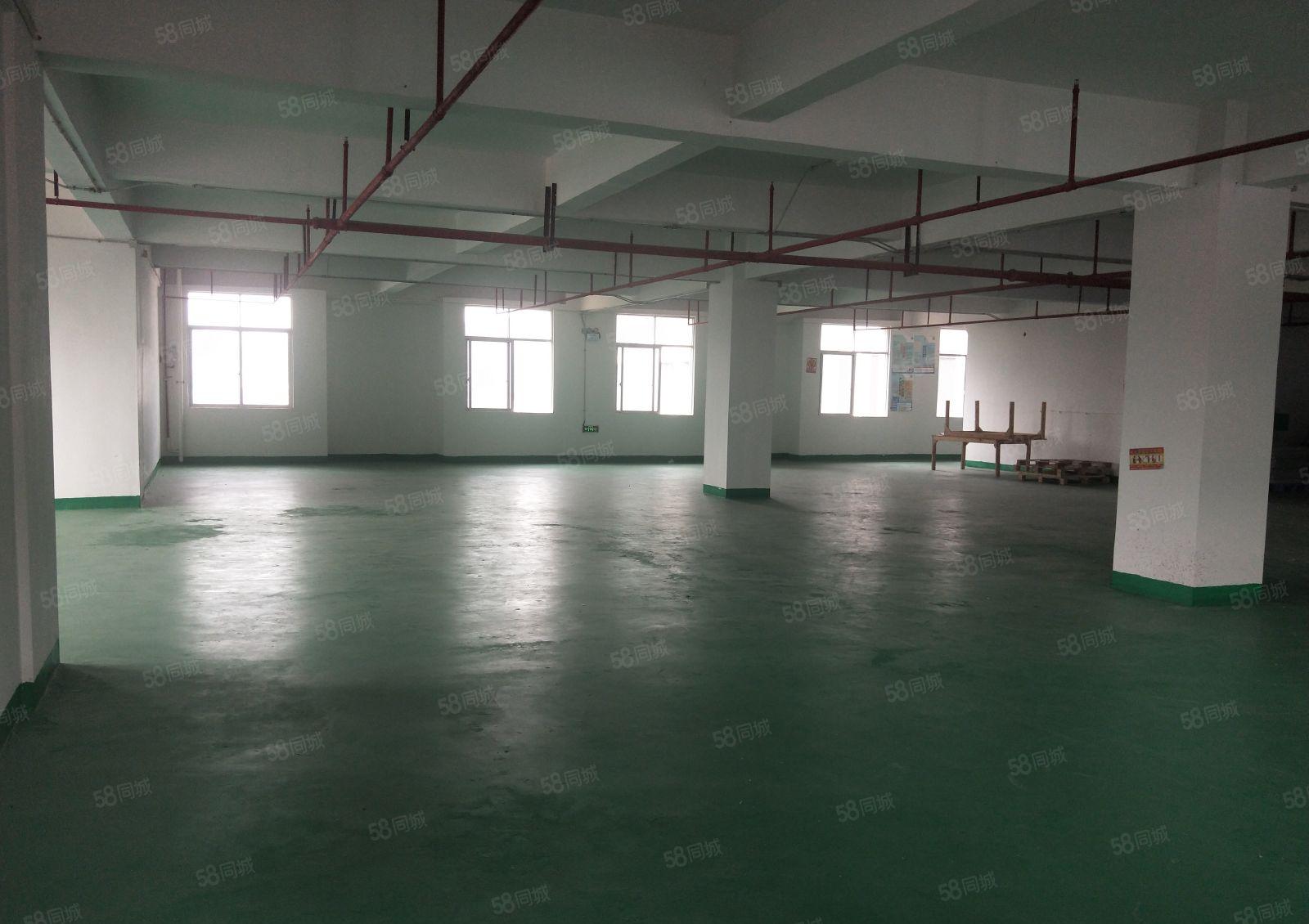 房东直租大岭山二楼厂房带地坪漆10元一平米！无中介无其它费用