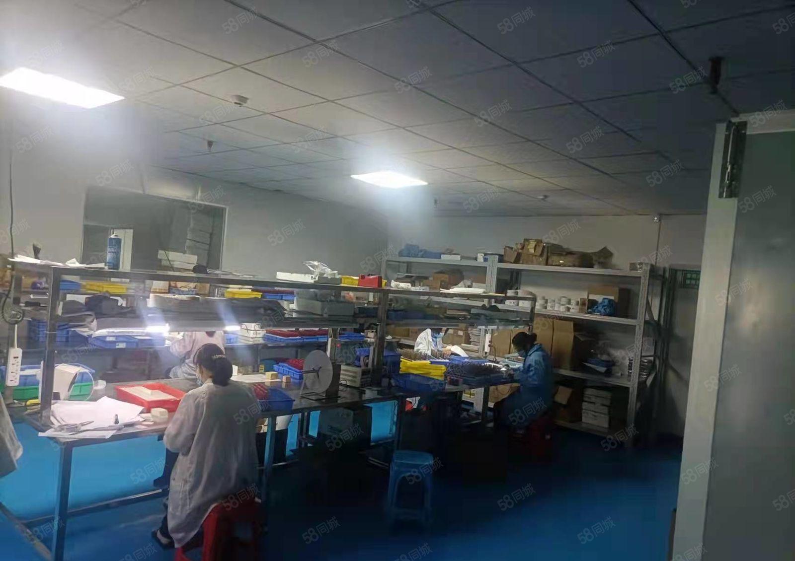 高大上  大岭山镇园区出租1250平厂房精装修办公室可办环评