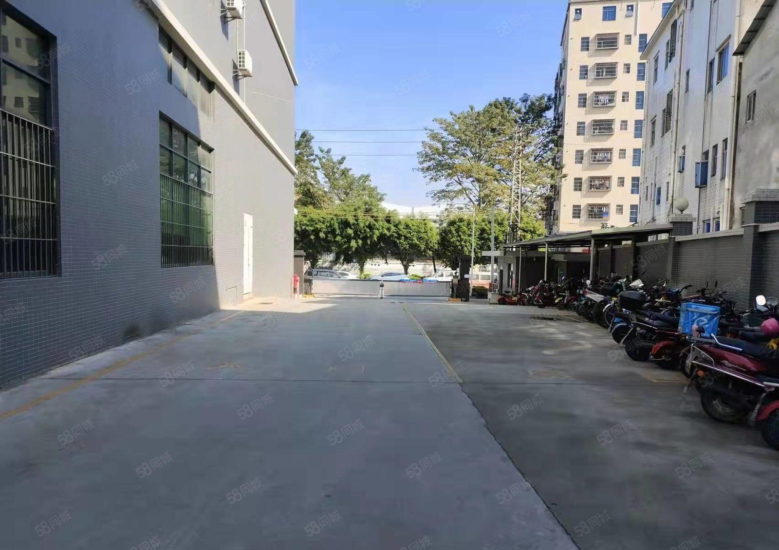 高大上  大岭山镇园区出租1250平厂房精装修办公室可办环评