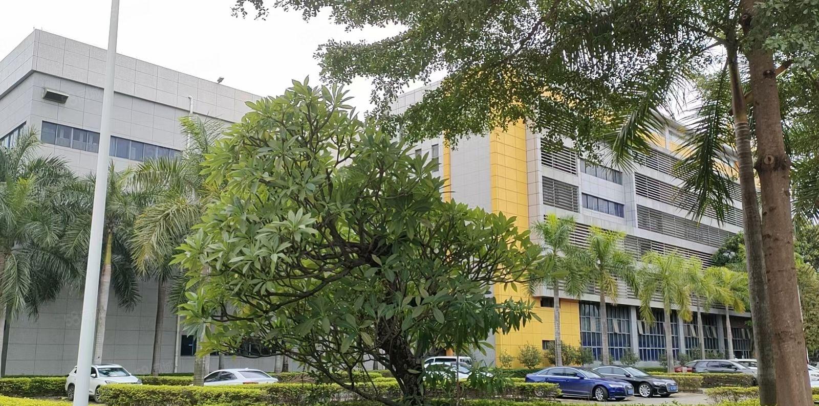 大岭山新出国有红本花园式标准厂房可分多个小独院