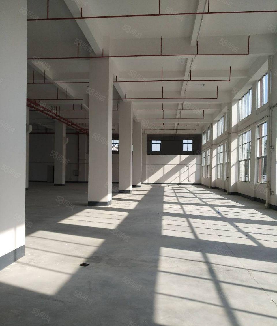 新厂房招租大岭山镇杨屋第三工业区二楼2000平