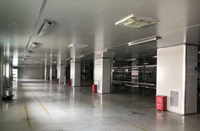 大岭山镇107国道边原房东无尘车间低价出租无转让费