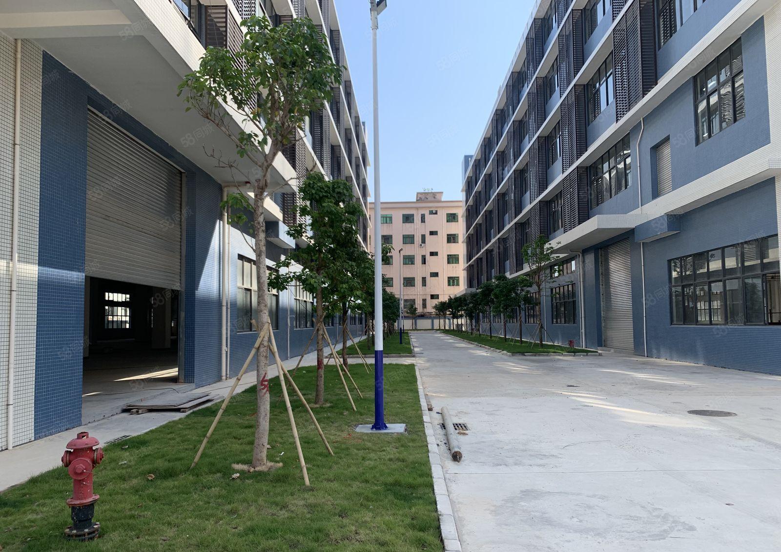 可分租，全新独院厂房60000平上市公司形象国有双证超大空地