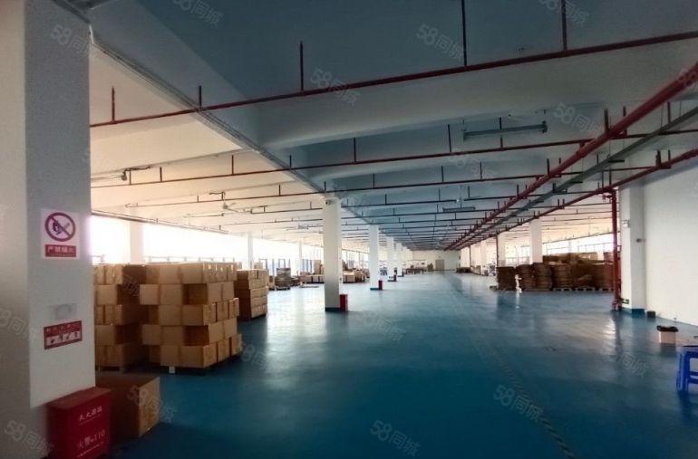 大岭山临近深圳全新红本厂房19688平米出租分租带喷淋