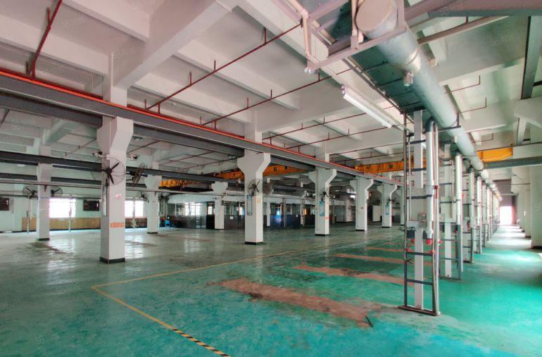 大片美工业区新出房东直租独院厂房8500平方，每层带豪华装修