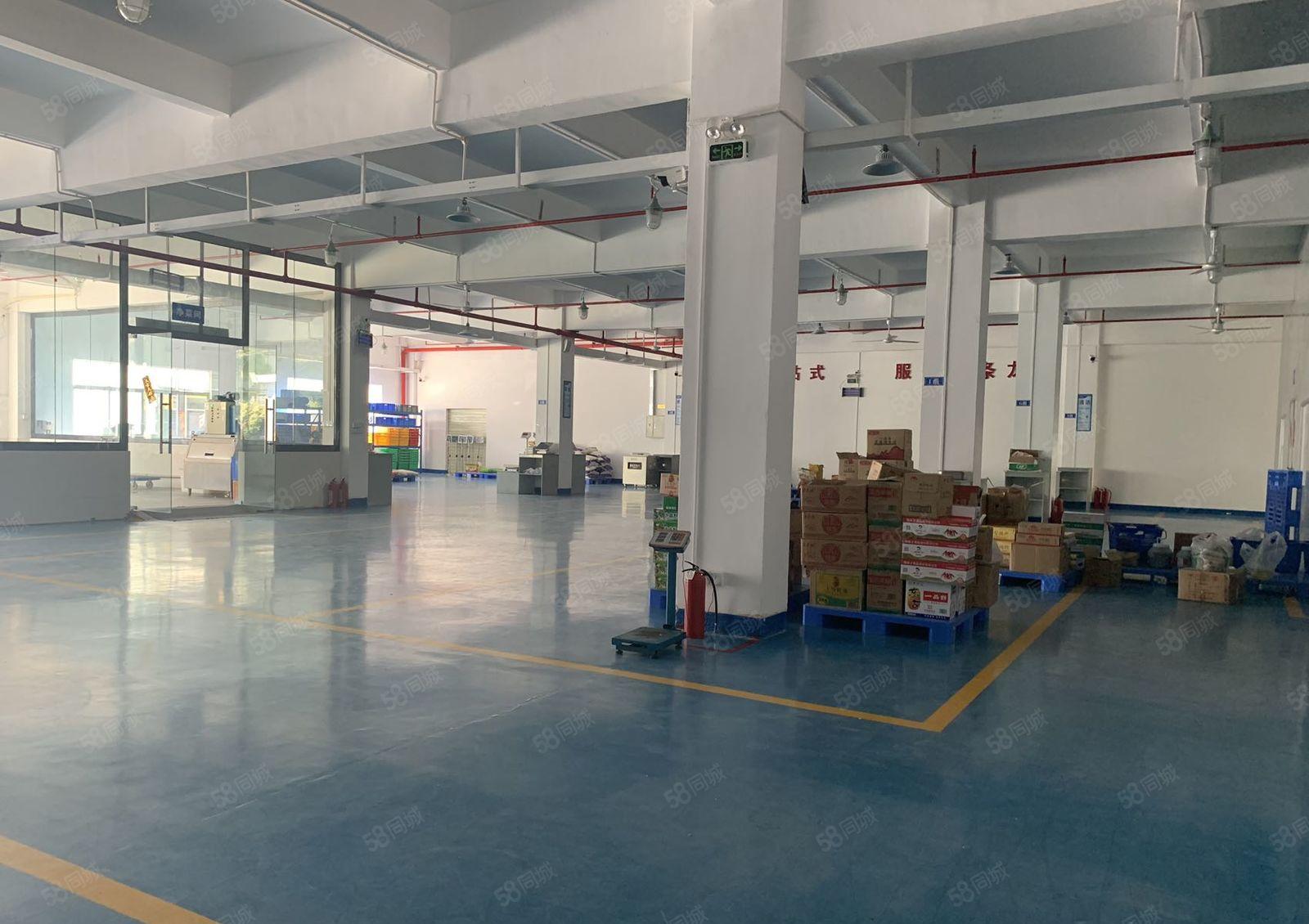 出租丨大岭山新出独门独院1至3层3600平方可分租带装修