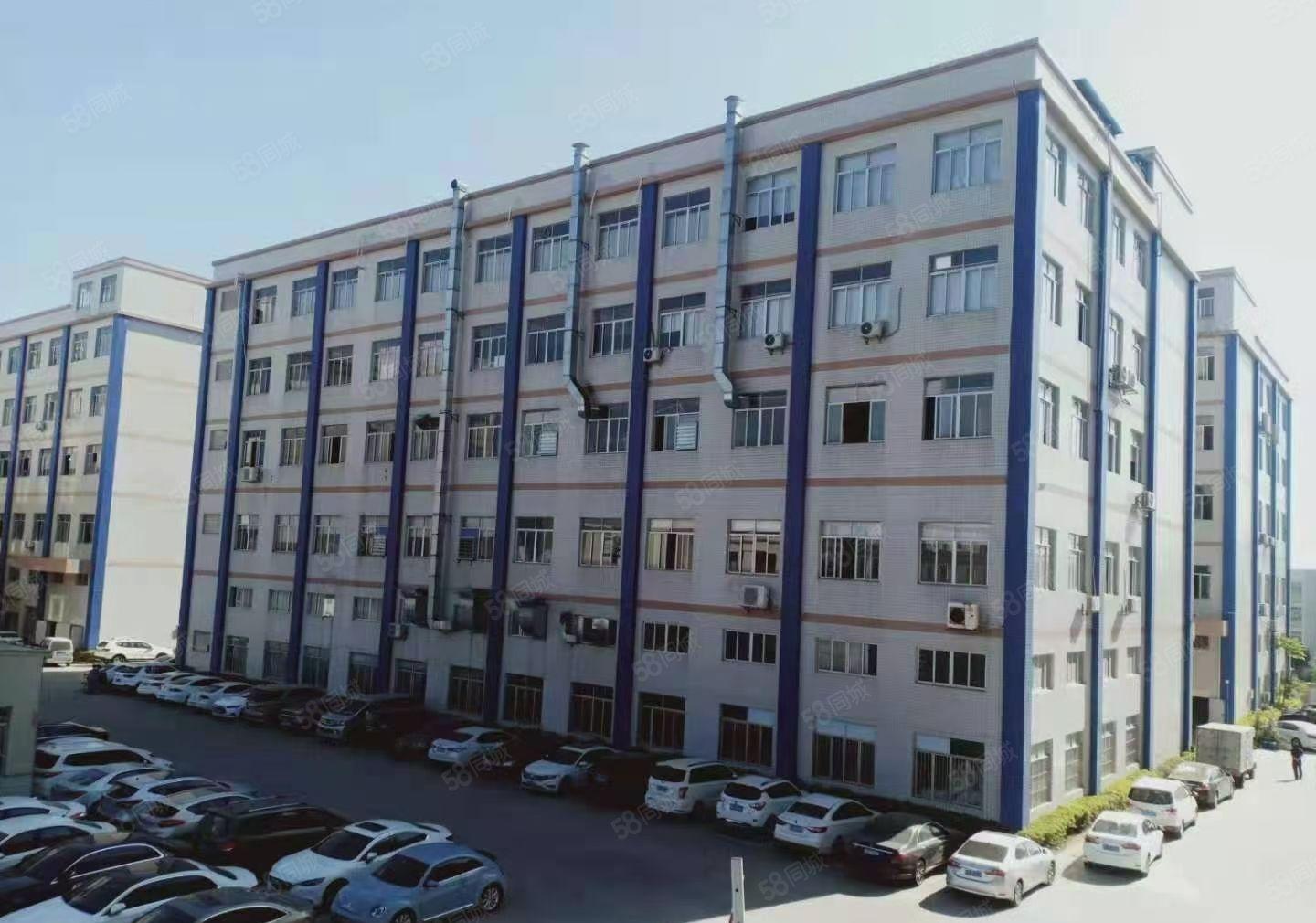 大岭山原房东厂房分租五楼1750平米，带精装修