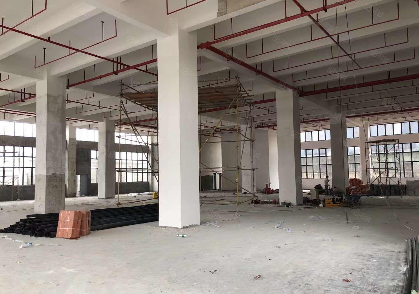 超长免租期 大岭山镇国有红本全新厂房出租500平起分租超低价