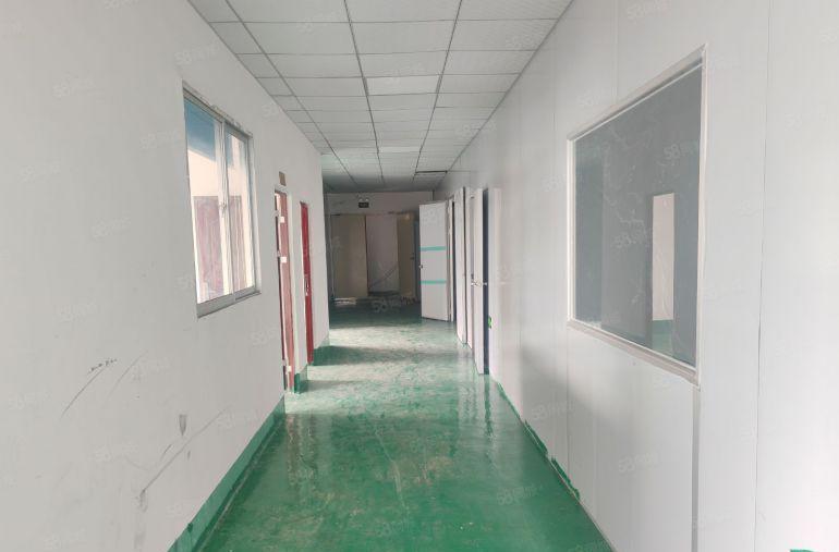 大岭山镇杨屋村龙大高速路口300米现成洁净车间装修，水电齐全