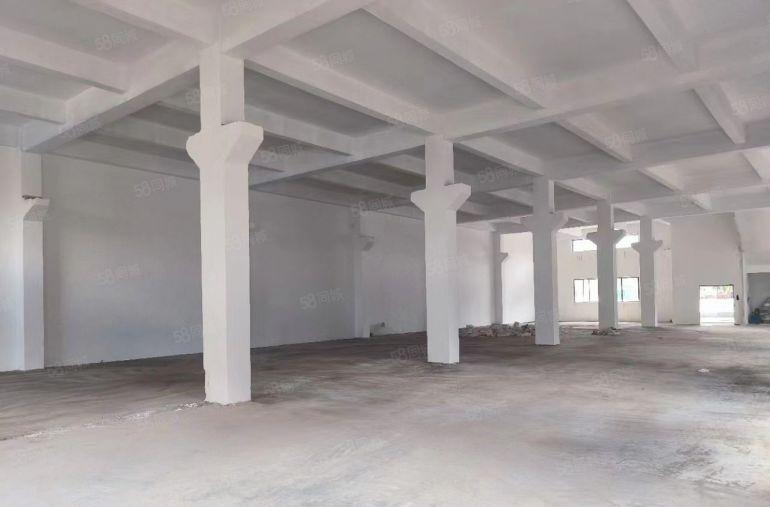 （带牛角） 大岭山镇原房东独栋标准2层2400平低价厂房出租