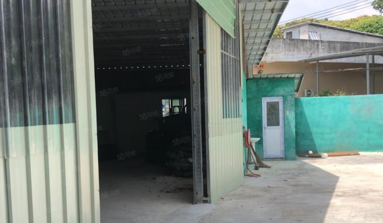 大岭山金桔石大路附近 原房东独门独院厂房出租