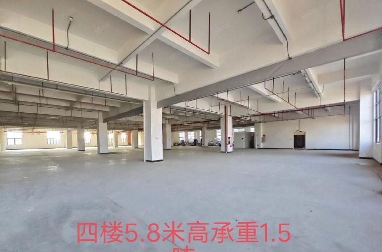 大岭山国有红本石大路边单层面积六千方大小可分一楼高度9.2米