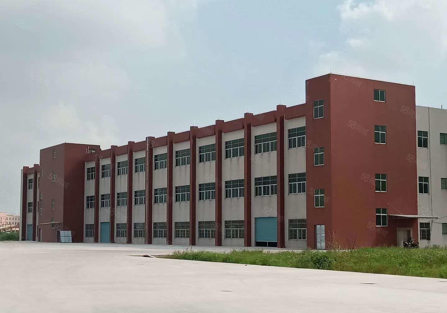 大岭山高速出口新出一楼1100平方7米高带牛角厂房招租