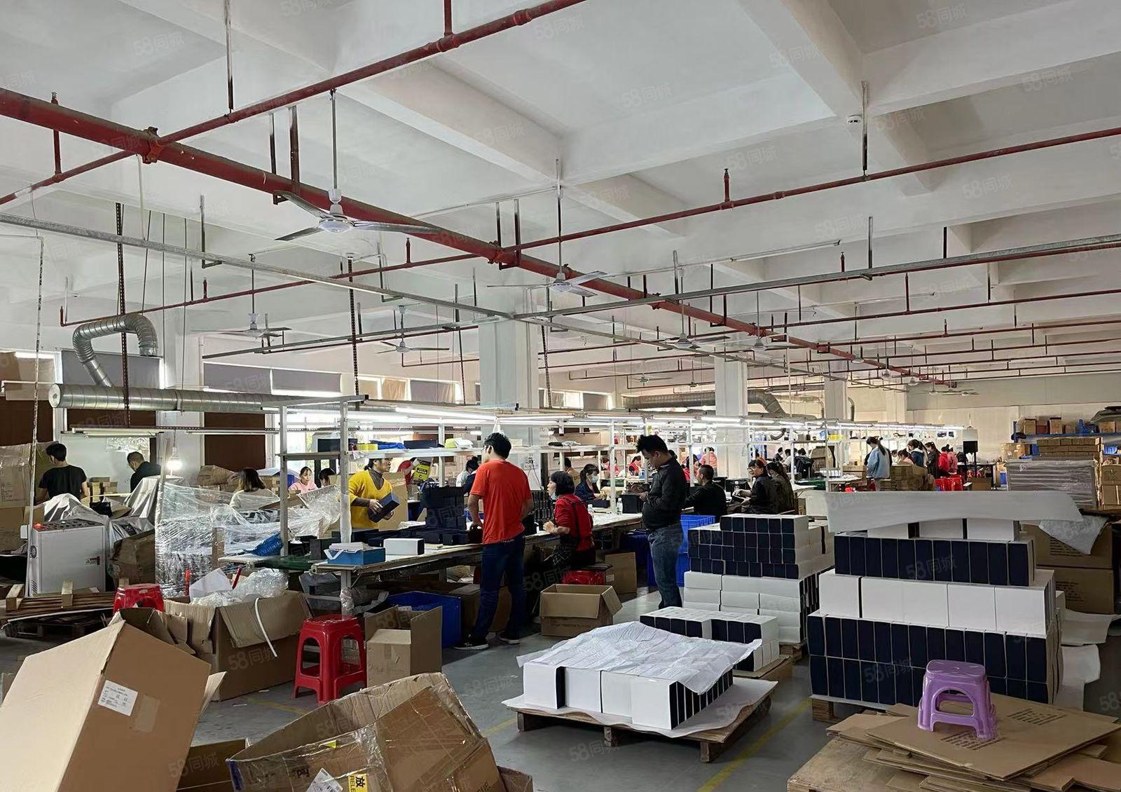 金桔村石大路边新出整层2400平厂房招租 现成豪华办公室装修