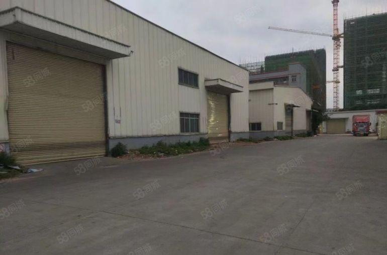 大岭山镇原房东钢构厂房中高11米无公摊现成办公室