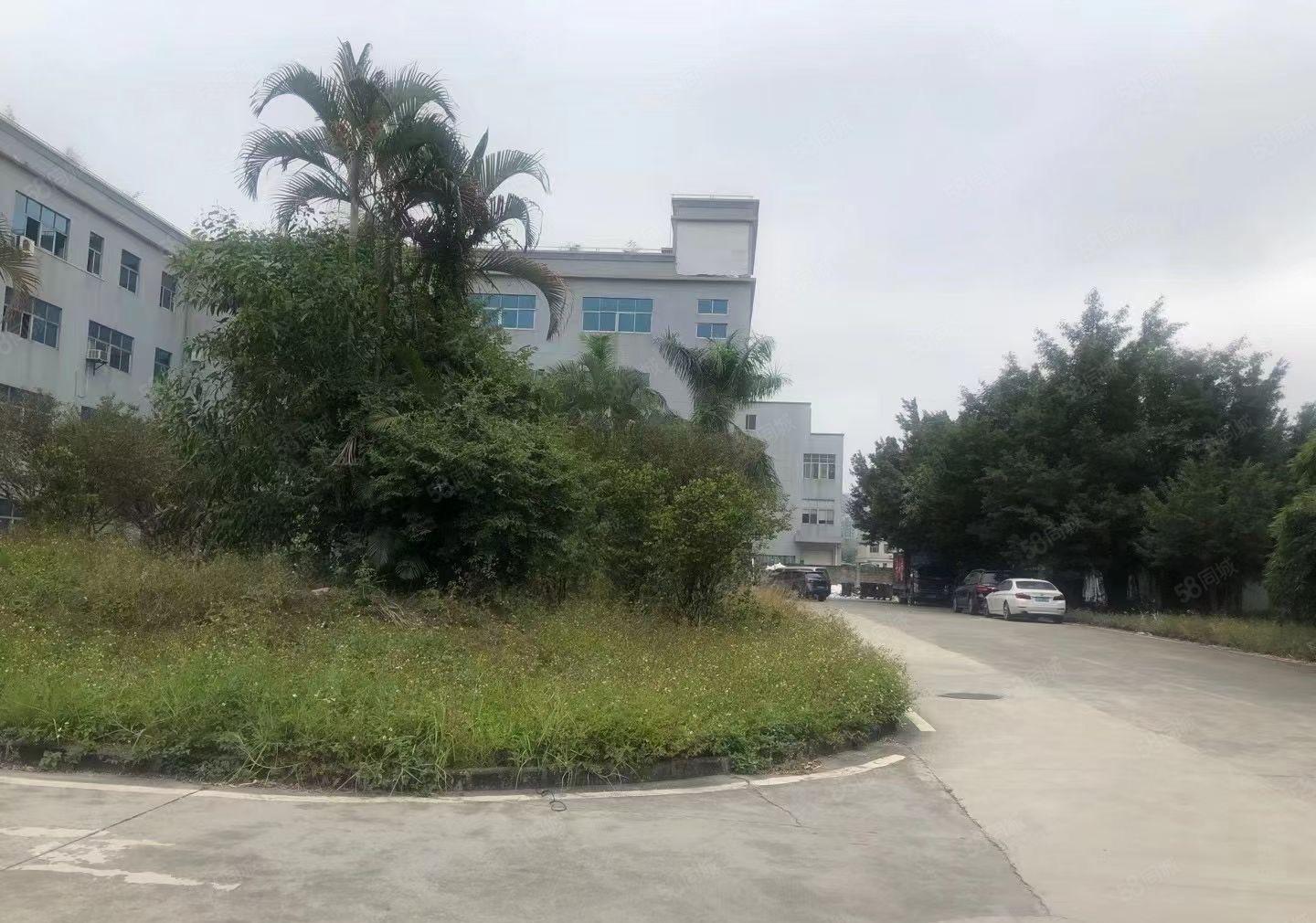 大岭山唯一独院厂房出租 带现成装修6000平